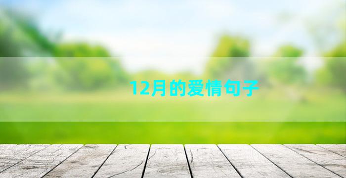 12月的爱情句子