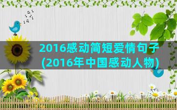 2016感动简短爱情句子(2016年中国感动人物)