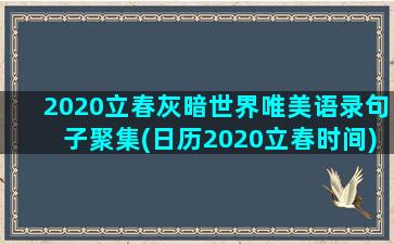 2020立春灰暗世界唯美语录句子聚集(日历2020立春时间)