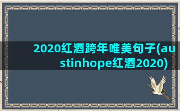 2020红酒跨年唯美句子(austinhope红酒2020)