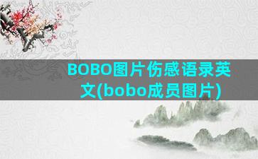 BOBO图片伤感语录英文(bobo成员图片)