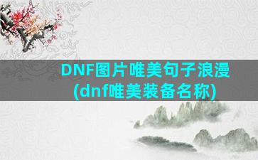 DNF图片唯美句子浪漫(dnf唯美装备名称)