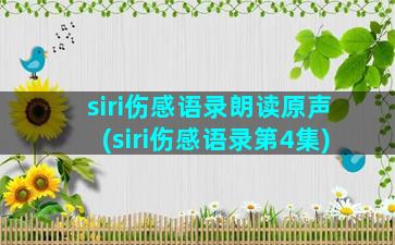 siri伤感语录朗读原声(siri伤感语录第4集)