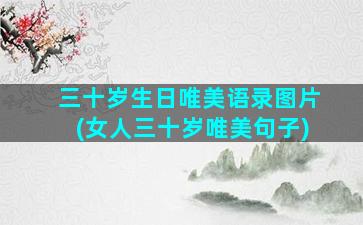 三十岁生日唯美语录图片(女人三十岁唯美句子)