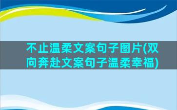 不止温柔文案句子图片(双向奔赴文案句子温柔幸福)