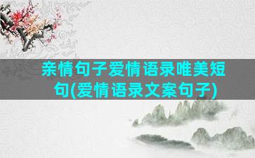 亲情句子爱情语录唯美短句(爱情语录文案句子)