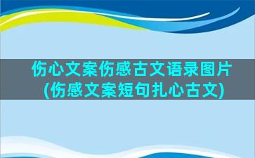 伤心文案伤感古文语录图片(伤感文案短句扎心古文)