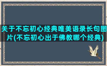 关于不忘初心经典唯美语录长句图片(不忘初心出于佛教哪个经典)