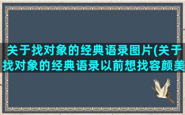 关于找对象的经典语录图片(关于找对象的经典语录以前想找容颜美貌现在想找安稳)