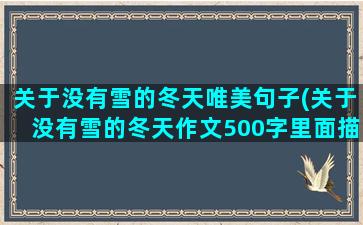 关于没有雪的冬天唯美句子(关于没有雪的冬天作文500字里面描写静态景描写动态净)