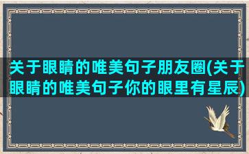 关于眼睛的唯美句子朋友圈(关于眼睛的唯美句子你的眼里有星辰)