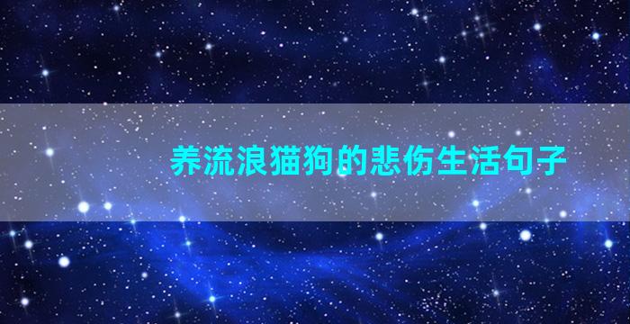 养流浪猫狗的悲伤生活句子