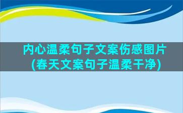 内心温柔句子文案伤感图片(春天文案句子温柔干净)