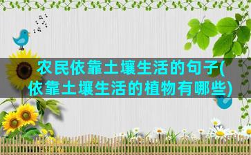 农民依靠土壤生活的句子(依靠土壤生活的植物有哪些)