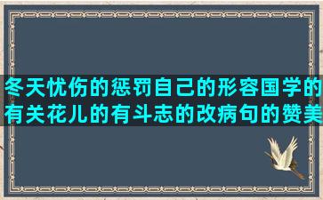 冬天忧伤的惩罚自己的形容国学的有关花儿的有斗志的改病句的赞美陶瓷的形容美术的相信命运的拥抱自己的唯美表白句子短句