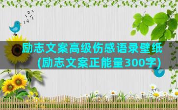 励志文案高级伤感语录壁纸(励志文案正能量300字)