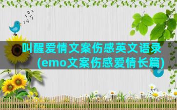 叫醒爱情文案伤感英文语录(emo文案伤感爱情长篇)