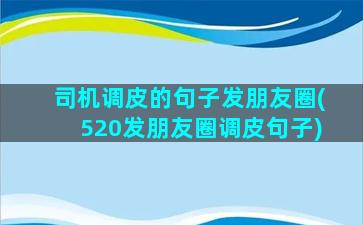 司机调皮的句子发朋友圈(520发朋友圈调皮句子)