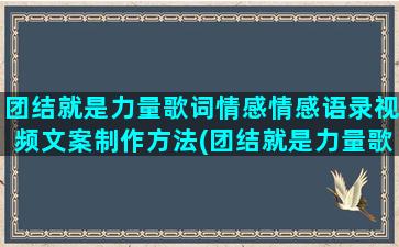 团结就是力量歌词情感情感语录视频文案制作方法(团结就是力量歌词完整版歌词)