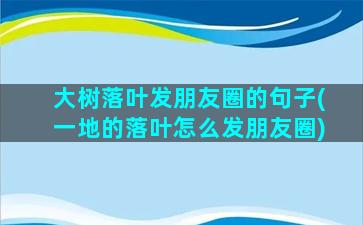 大树落叶发朋友圈的句子(一地的落叶怎么发朋友圈)