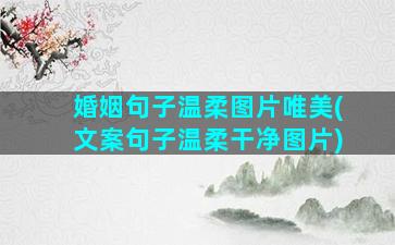 婚姻句子温柔图片唯美(文案句子温柔干净图片)