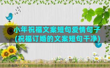 小年祝福文案短句爱情句子(祝福订婚的文案短句干净)