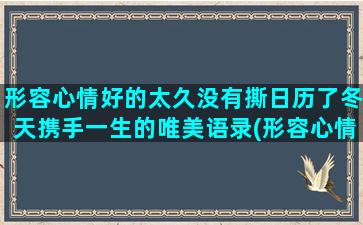 形容心情好的太久没有撕日历了冬天携手一生的唯美语录(形容心情好的诗句)