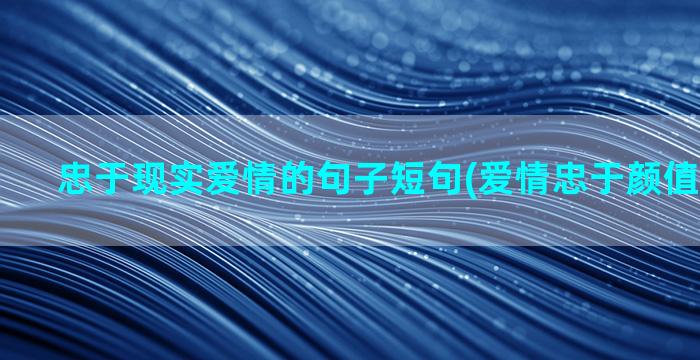 忠于现实爱情的句子短句(爱情忠于颜值败给现实)