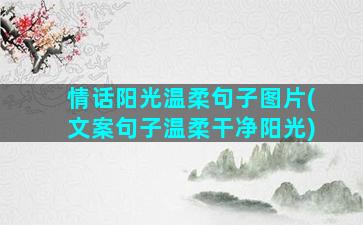 情话阳光温柔句子图片(文案句子温柔干净阳光)