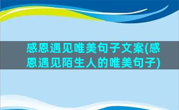 感恩遇见唯美句子文案(感恩遇见陌生人的唯美句子)