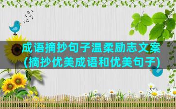 成语摘抄句子温柔励志文案(摘抄优美成语和优美句子)