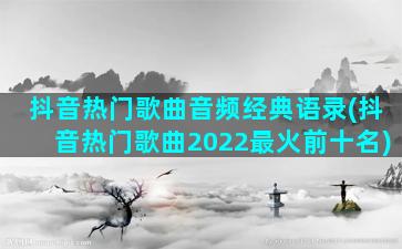 抖音热门歌曲音频经典语录(抖音热门歌曲2022最火前十名)