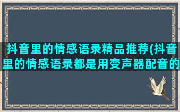 抖音里的情感语录精品推荐(抖音里的情感语录都是用变声器配音的吗)