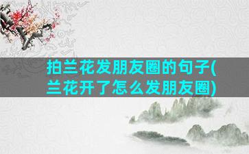 拍兰花发朋友圈的句子(兰花开了怎么发朋友圈)