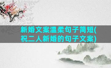 新婚文案温柔句子简短(祝二人新婚的句子文案)