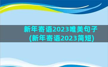 新年寄语2023唯美句子(新年寄语2023简短)