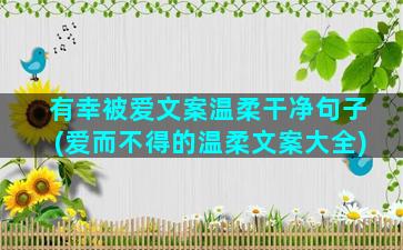 有幸被爱文案温柔干净句子(爱而不得的温柔文案大全)