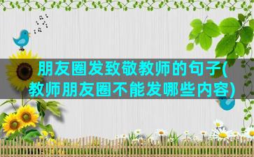 朋友圈发致敬教师的句子(教师朋友圈不能发哪些内容)