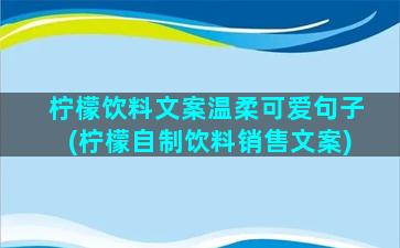 柠檬饮料文案温柔可爱句子(柠檬自制饮料销售文案)