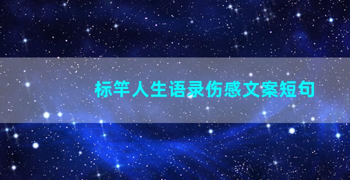 标竿人生语录伤感文案短句