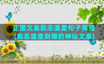 正面文案励志温柔句子简短(励志温柔到爆的神仙文案)