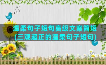 温柔句子短句高级文案简短(三观超正的温柔句子短句)