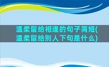 温柔留给相逢的句子简短(温柔留给别人下句是什么)