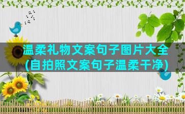 温柔礼物文案句子图片大全(自拍照文案句子温柔干净)