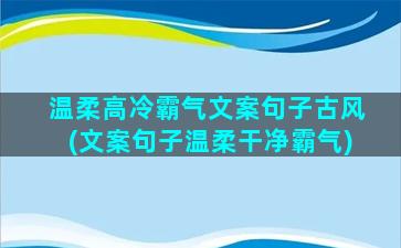 温柔高冷霸气文案句子古风(文案句子温柔干净霸气)