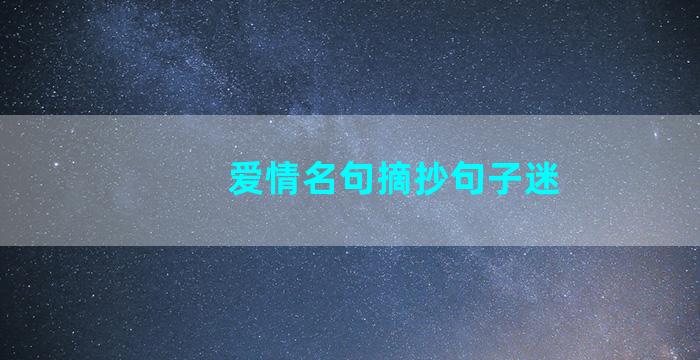 爱情名句摘抄句子迷