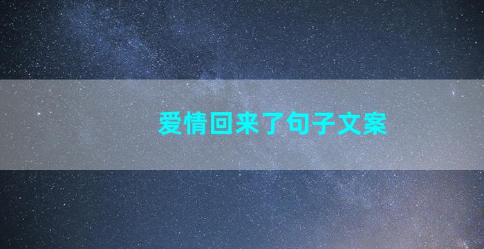 爱情回来了句子文案