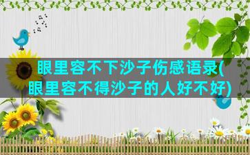 眼里容不下沙子伤感语录(眼里容不得沙子的人好不好)