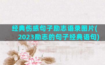 经典伤感句子励志语录图片(2023励志的句子经典语句)