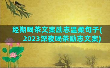 经期喝茶文案励志温柔句子(2023深夜喝茶励志文案)